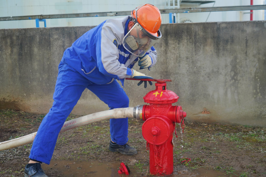 1701938743973554.jpg 5.jpg